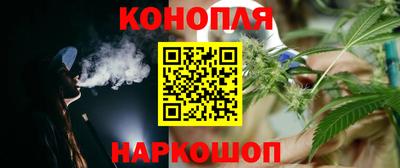 индика Апшеронск