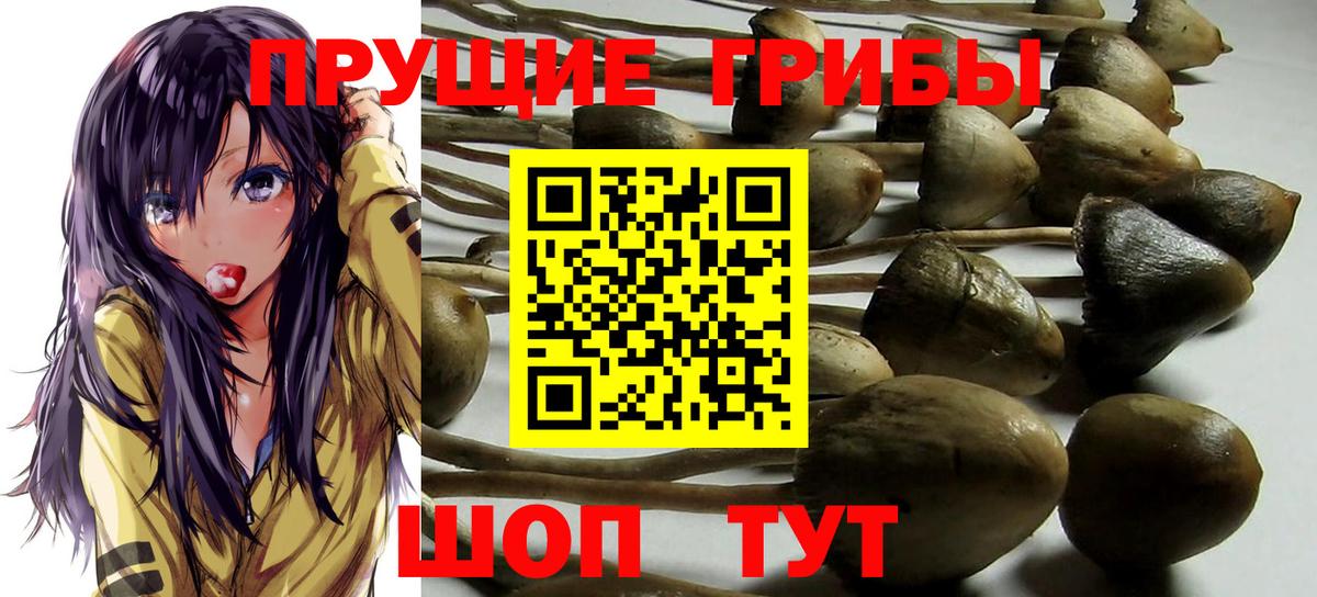 Псилоцибиновые грибы ЛСД Вольск